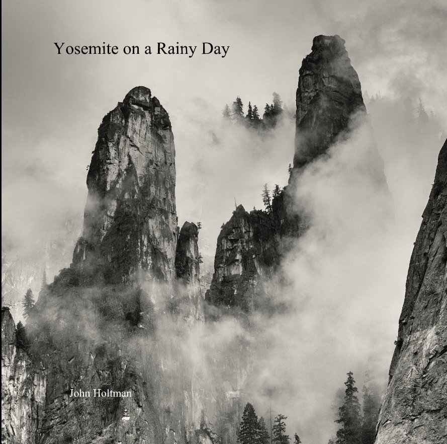 View Yosemite on a Rainy Day by John Holtman