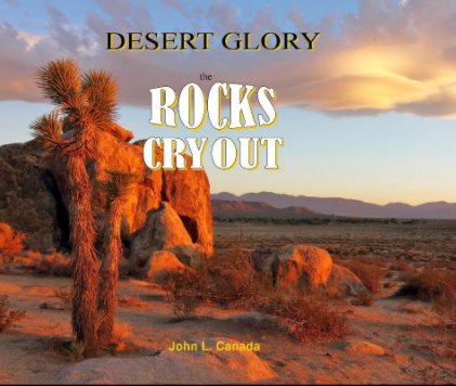 Desert Glory book cover