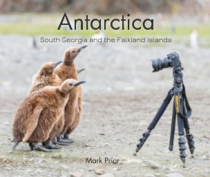 Antarctica, South Georgia and the Falkland Islands book cover