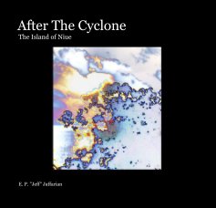 After The Cyclone book cover