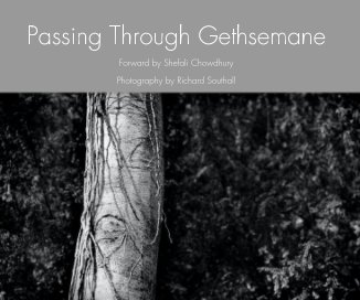 Passing Through Gethsemane book cover