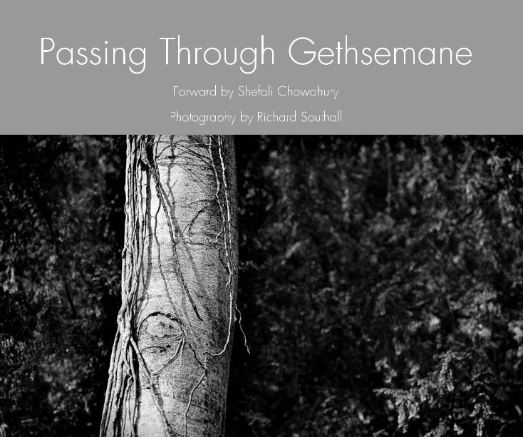 Ver Passing Through Gethsemane por Richard Southall