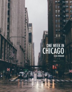 One week in Chicago book cover