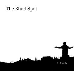 The Blind Spot book cover