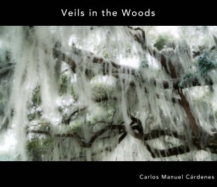 Veils in the Woods book cover