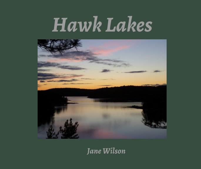 Ver Hawk Lakes -Small 10 x 8 por Jane Wilson