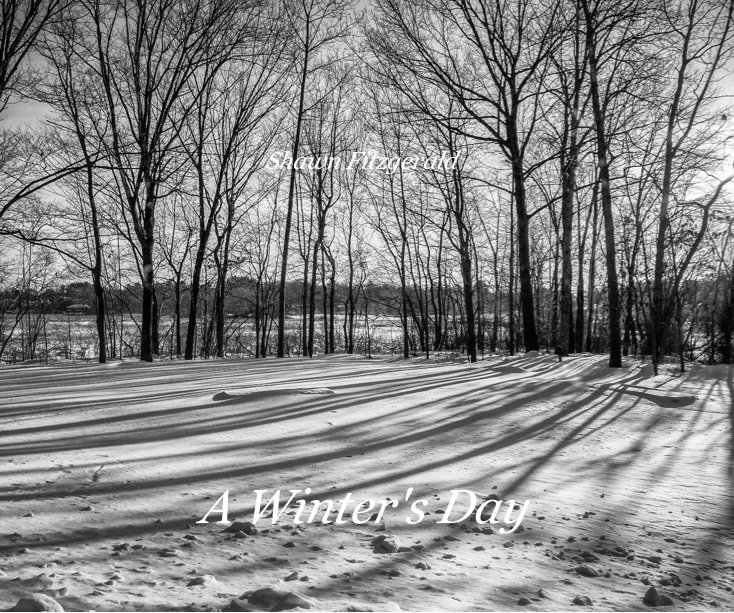 View A Winter's Day by Shawn Fitzgerald