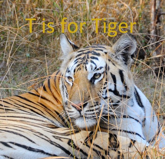 View T is for Tiger by Tim Stewart