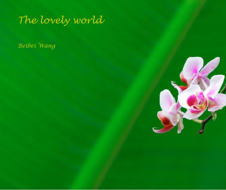 Ver The lovely world por Beibei Wang