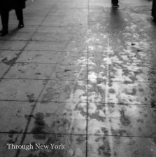 Through New York (Hardcover) book cover