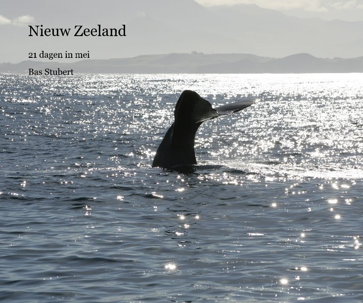 View Nieuw Zeeland by Bas Stubert