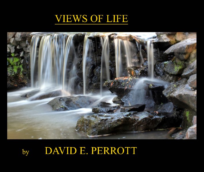 View VIEWS  OF LIFE by DAVID E. PERROTT
