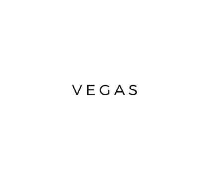 Vegas book cover