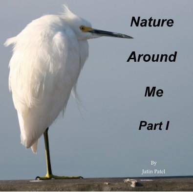 Nature Around Me Part I book cover