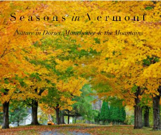 S e a s o n s in V e r m o n t Nature in Dorset, Manchester & the Mountains book cover
