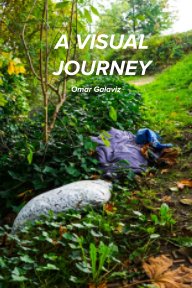 A Visual Journey book cover