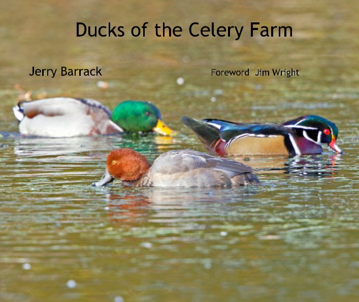 View Ducks of the Celery Farm by Jerry Barrack Foreword Jim Wright