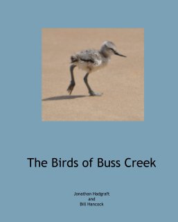 The Birds of Buss Creek book cover