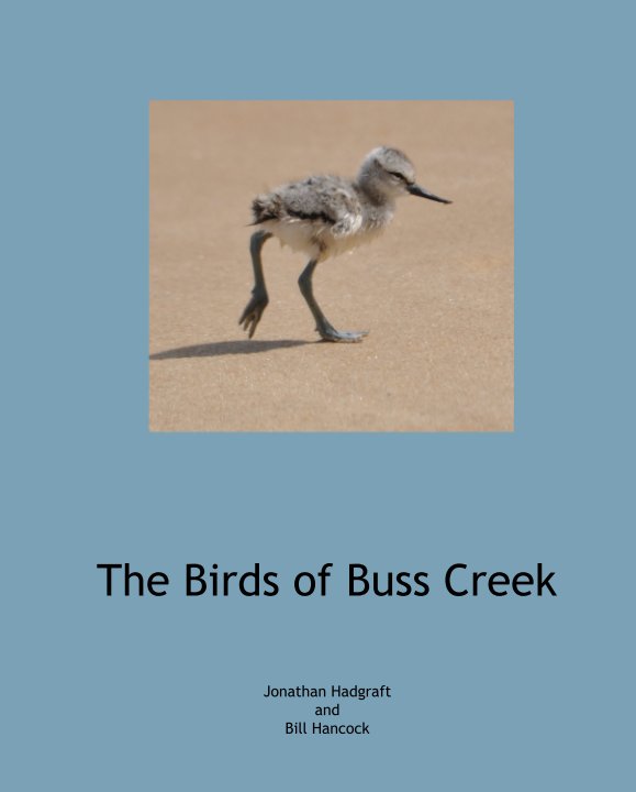 View The Birds of Buss Creek by Jonathan Hadgraft and  Bill Hancock