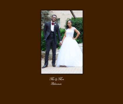Mr & Mrs Adeosun book cover