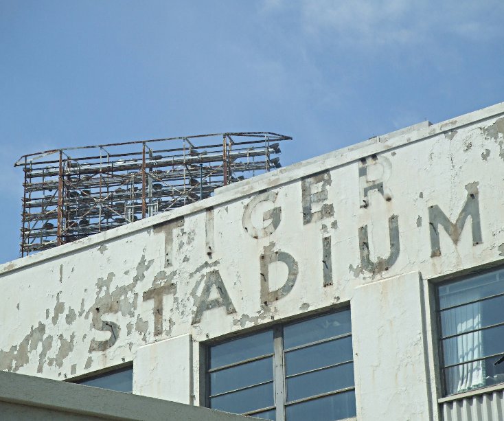 View Tiger Stadium by Todd Shearon