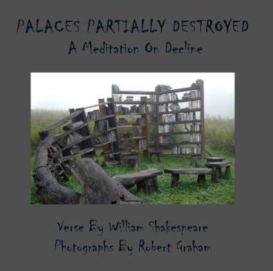 PALACES PARTIALLY DESTROYED book cover