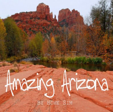 Amazing Arizona book cover