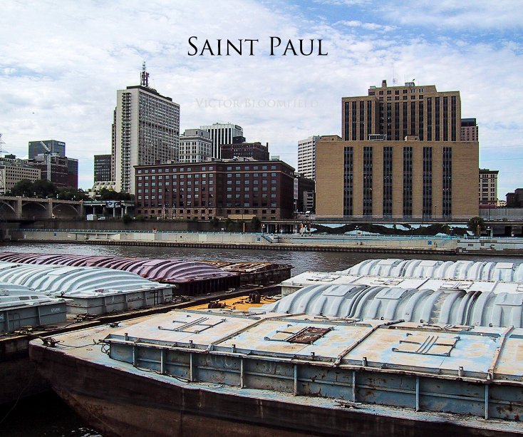 View Saint Paul by Victor Bloomfield