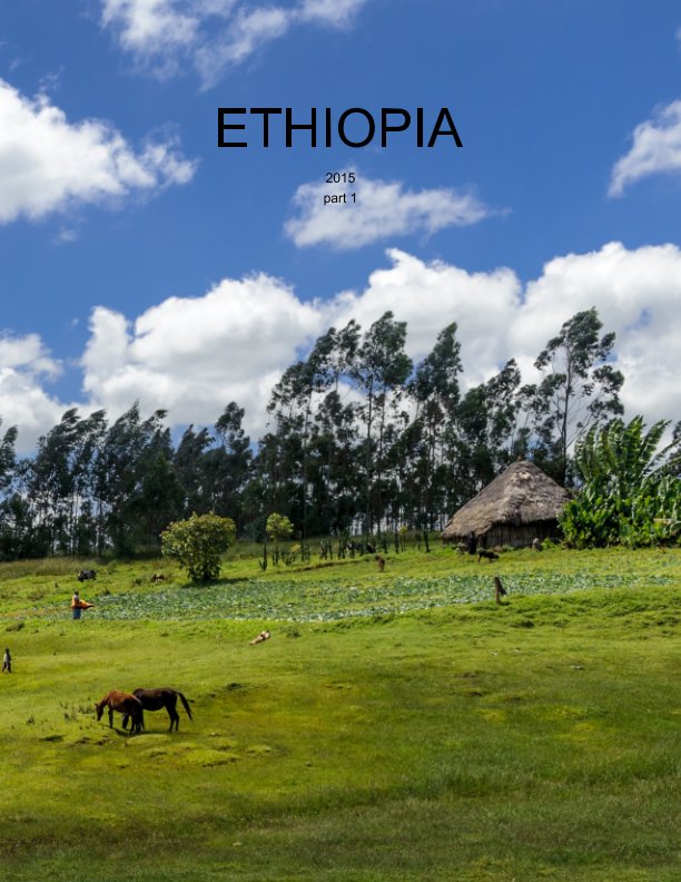 Bekijk Ethiopia 2015, part 1 op piet flour