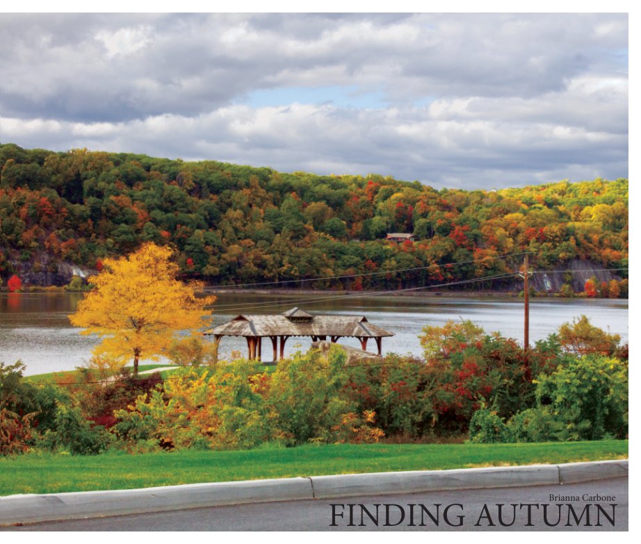 View Finding Autumn by Brianna Carbone