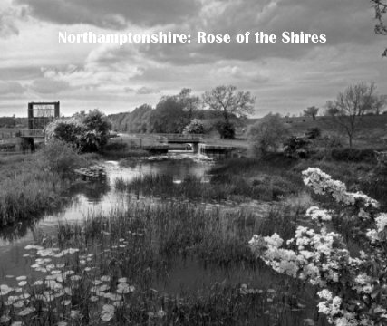 Northamptonshire: Rose of the Shires book cover