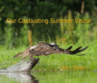 Our Captivating Summer Visitor book cover