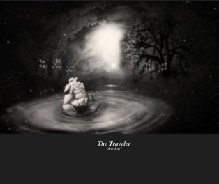 The Traveler Skin Soul book cover