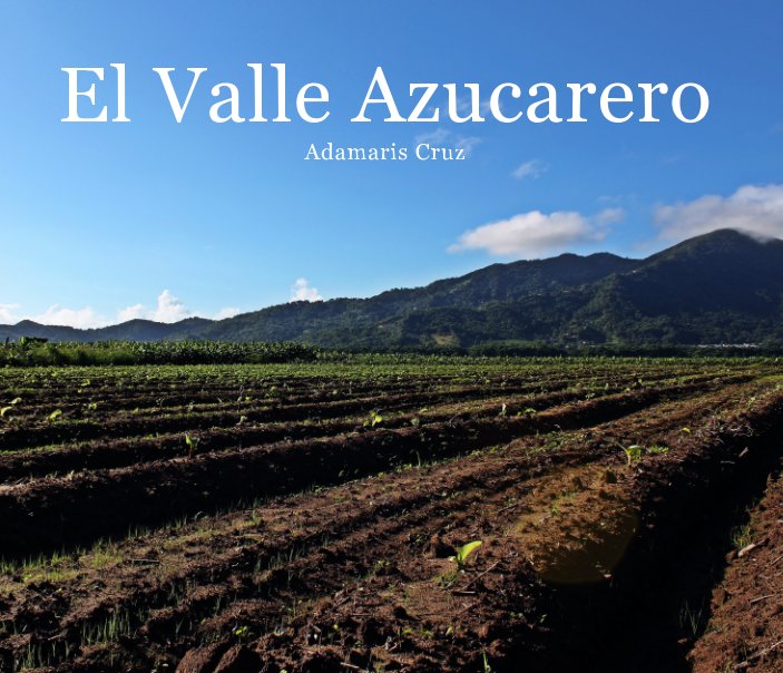 View El Valle Azucarero by Adamaris Cruz