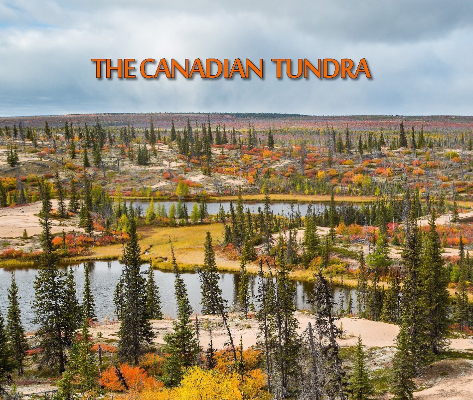 View The Canadian Tundra by Hudson Smith