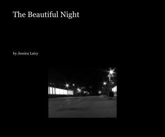 The Beautiful Night book cover