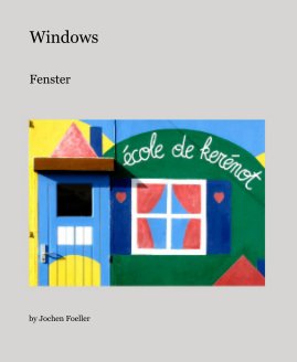 Windows book cover