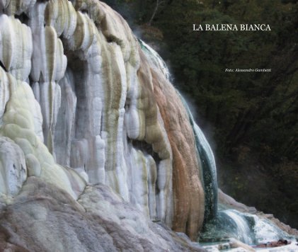 LA BALENA BIANCA book cover
