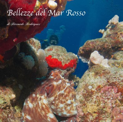 Bellezze del Mar Rosso book cover