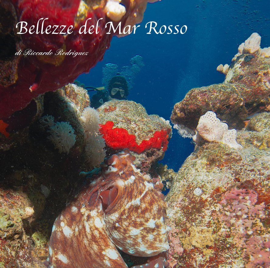 View Bellezze del Mar Rosso by di Riccardo Rodriguez