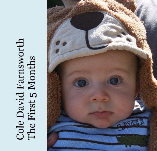 View Cole David Farnsworth The First 5 Months by Gramma Susan Webster