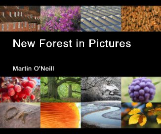 New Forest in Pictures book cover