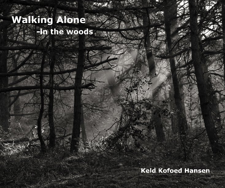 View Walking Alone by Keld Kofoed Hansen