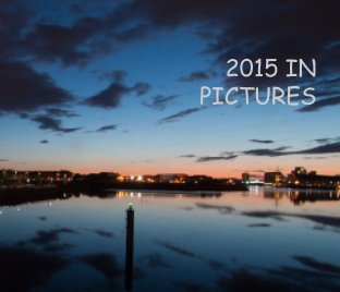 2015 in Pictures book cover