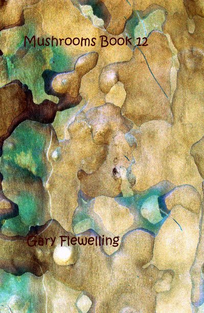 View Mushrooms Book 12 by Gary Flewelling