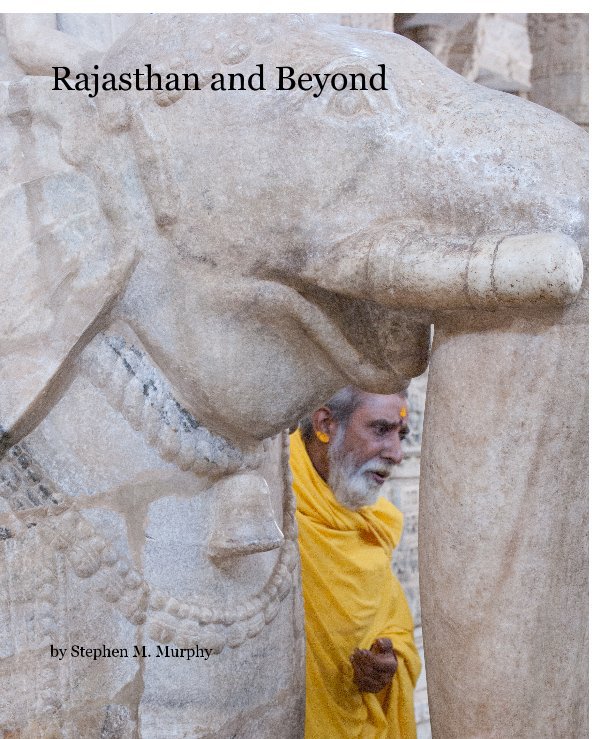View Rajasthan and Beyond by Stephen M. Murphy