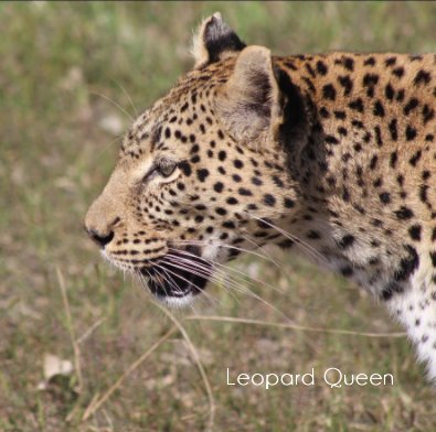 Leopard Queen book cover