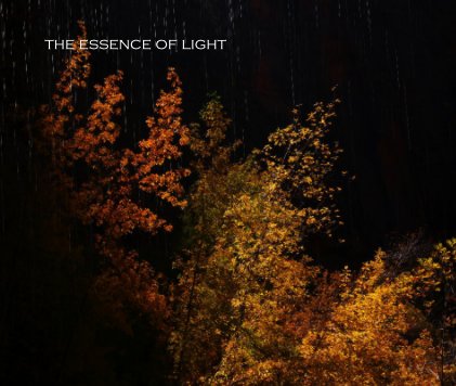 the essence of light book cover