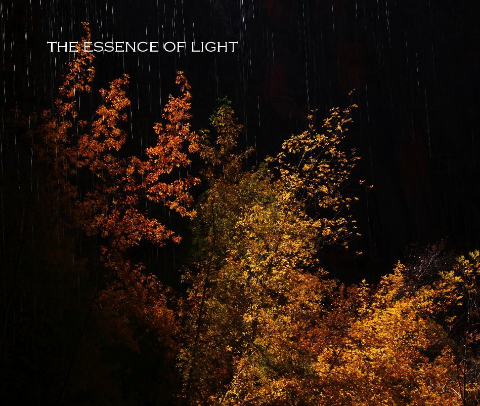 View the essence of light by Sue Blundell
