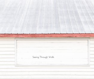 Seeing Through Walls book cover